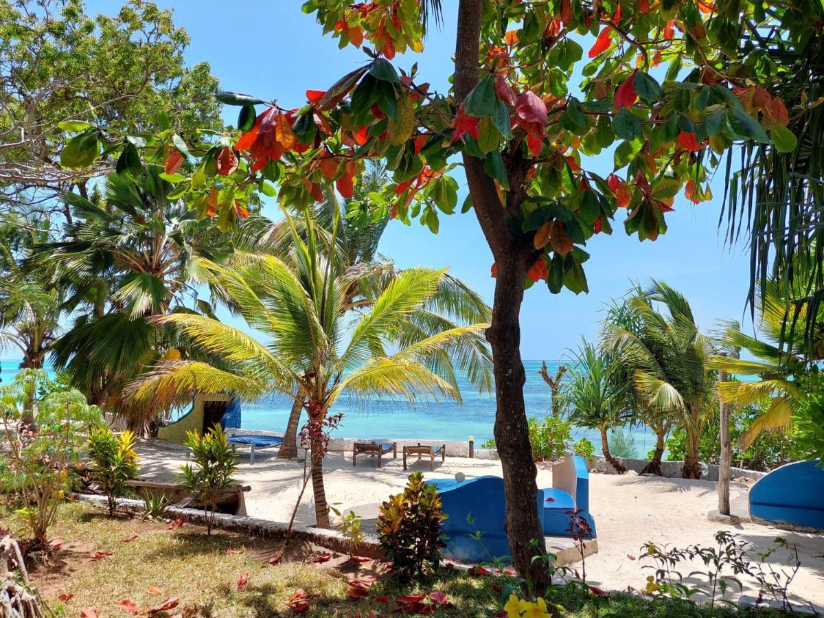 Queen Of Sheba Beach Lodge Pongwe Extérieur photo