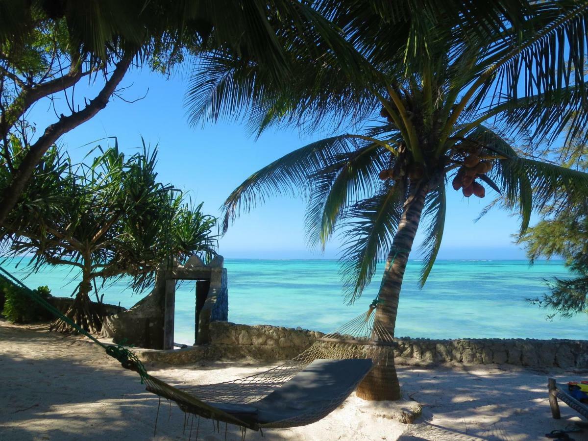 Queen Of Sheba Beach Lodge Pongwe Extérieur photo